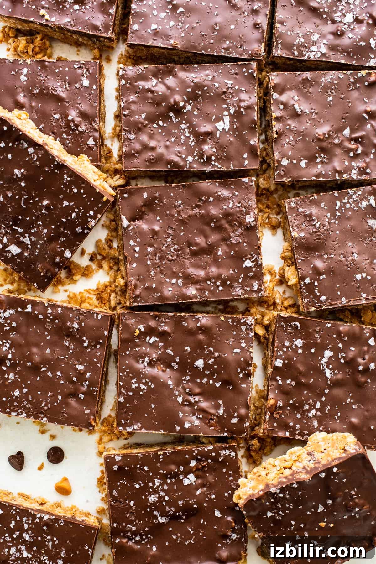 A sheet of chocolate bars on a white plate.