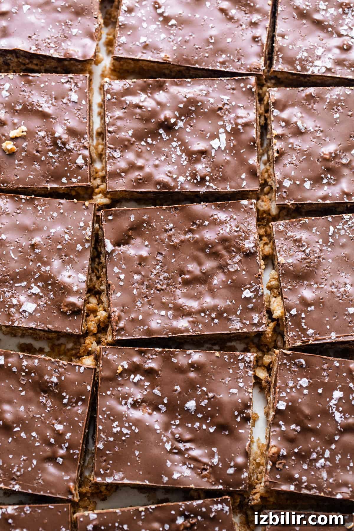 A close up of chocolate squares on a white plate.