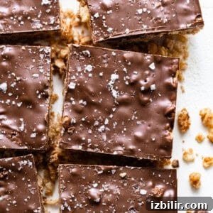 A plate of chocolate granola bars on a white surface.
