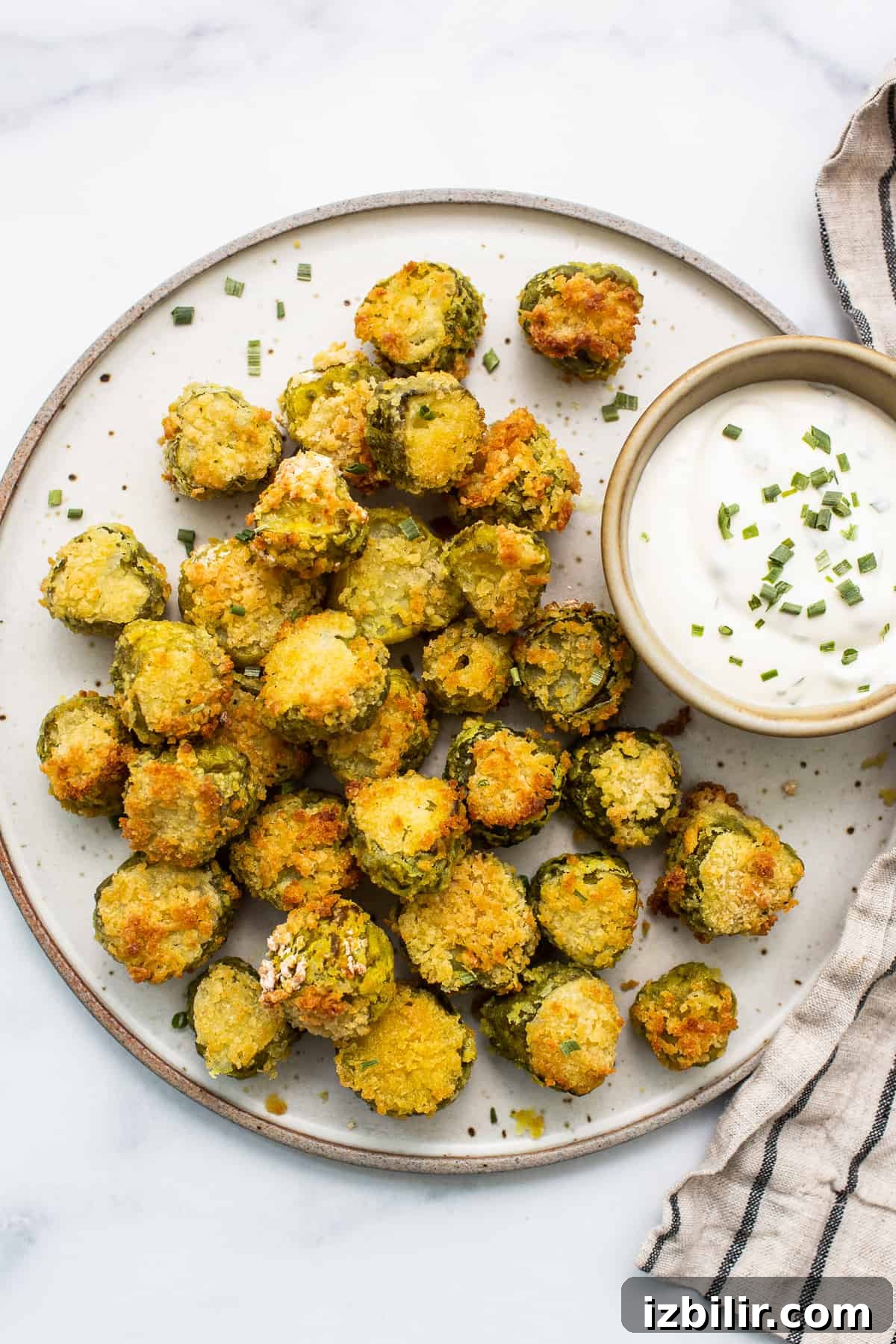 Crispy Air Fryer Pickle Chips Recipe 2 A plate of fried pickles with a dipping sauce.