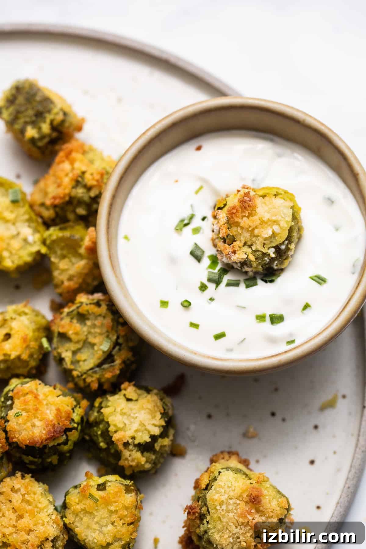 Crispy Air Fryer Pickle Chips Recipe 6 A plate of fried pickles with dipping sauce.