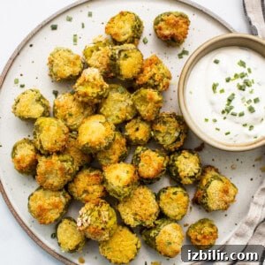 Crispy Air Fryer Pickle Chips Recipe 7 A plate of fried pickles with dipping sauce.
