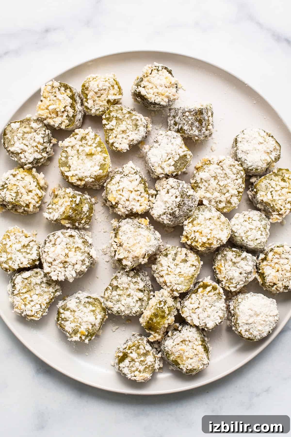 Crispy Air Fryer Pickle Chips Recipe 5 Fried pickles on a white plate.