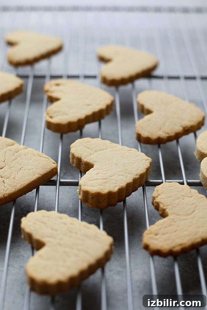 Cooling sugar cookies Sugar cookies on a cooling rack