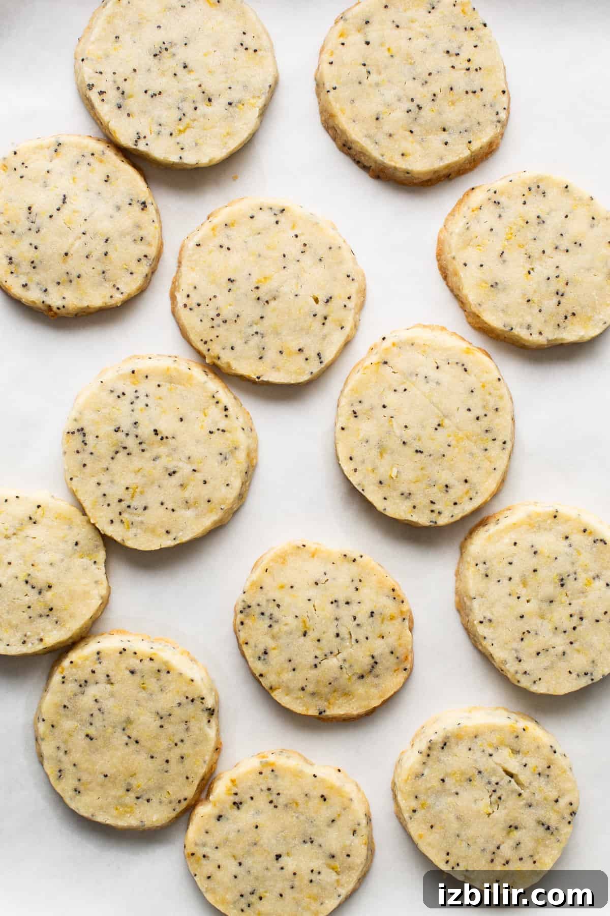 Zesty Lemon Poppy Seed Shortbread Cookies Recipe 3 Lemon poppy seed cookies on a baking sheet.