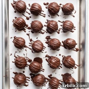 Chocolate truffles on a baking sheet.