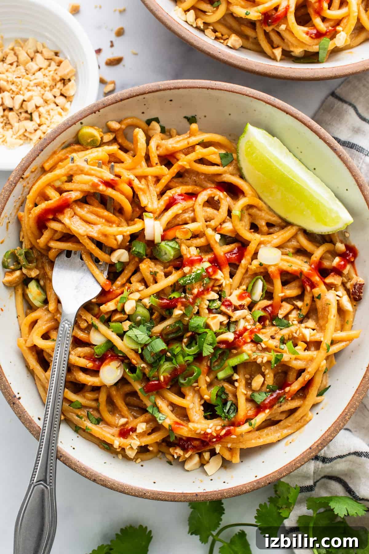 20-Minute Thai Peanut Noodles with Creamy Sauce 6 Thai peanut noodles in a bowl with a fork.