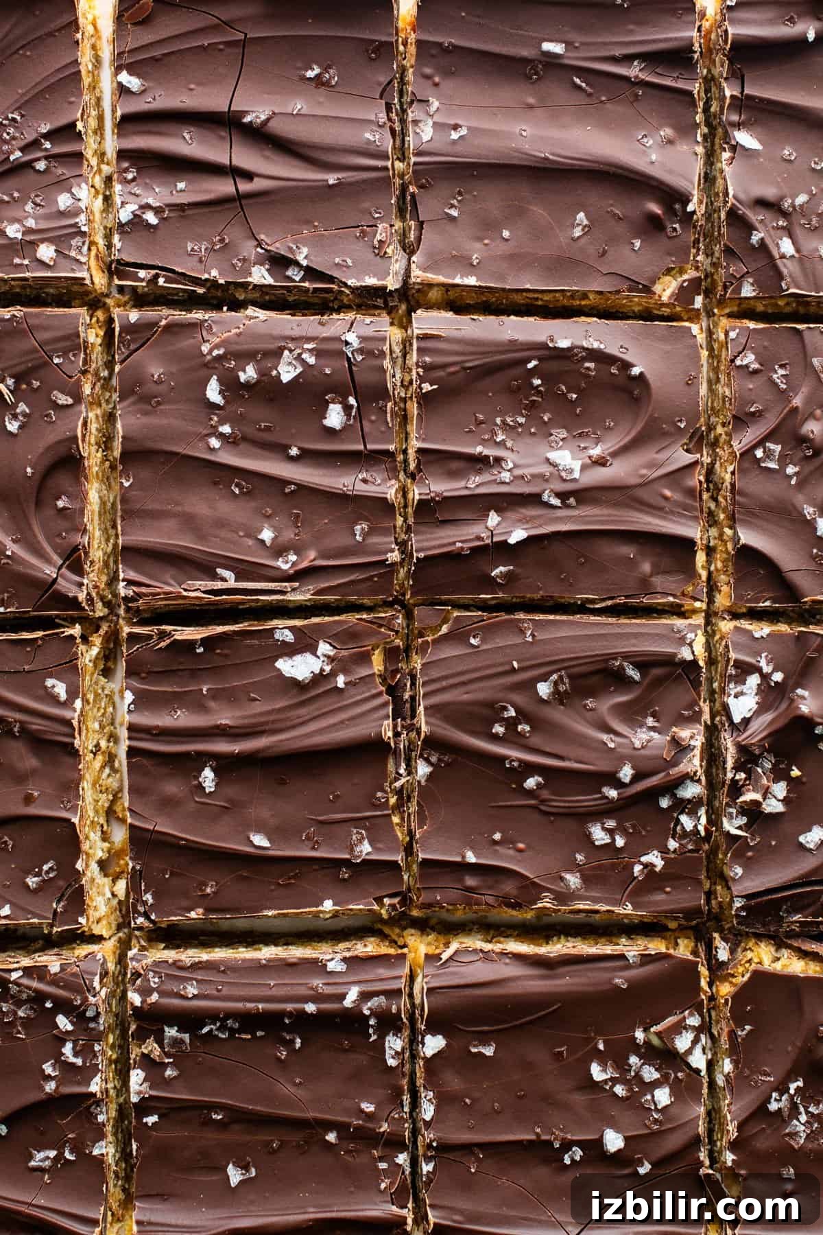 A close up of a chocolate bar with icing on it.