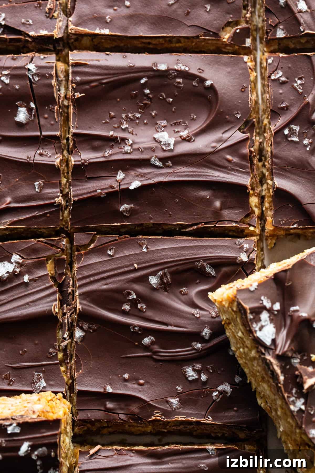 A close up of chocolate.
