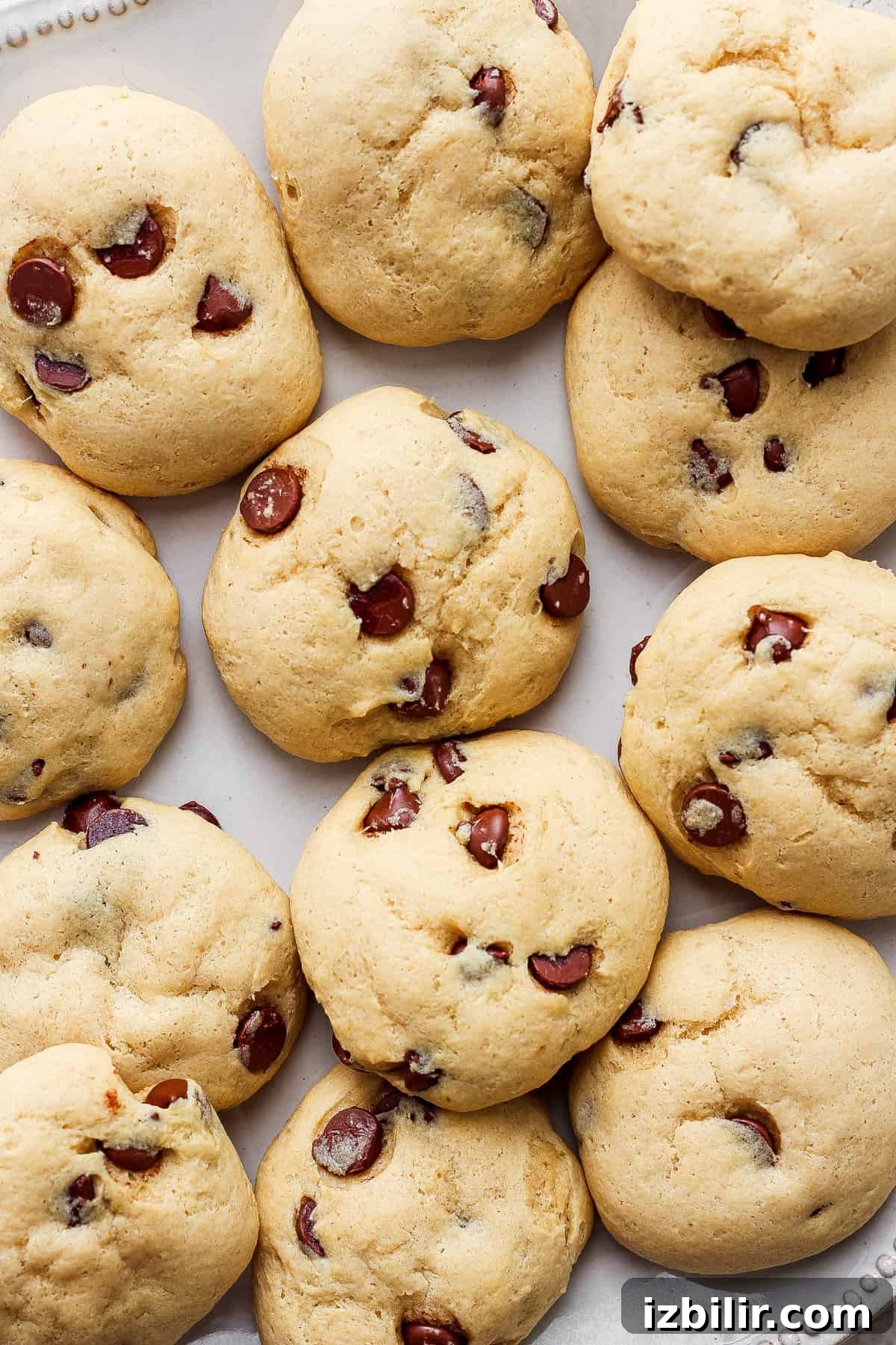 Chewy Chocolate Chip Cookies with Cottage Cheese 2 Cranberry chocolate chip cookies on a white plate.