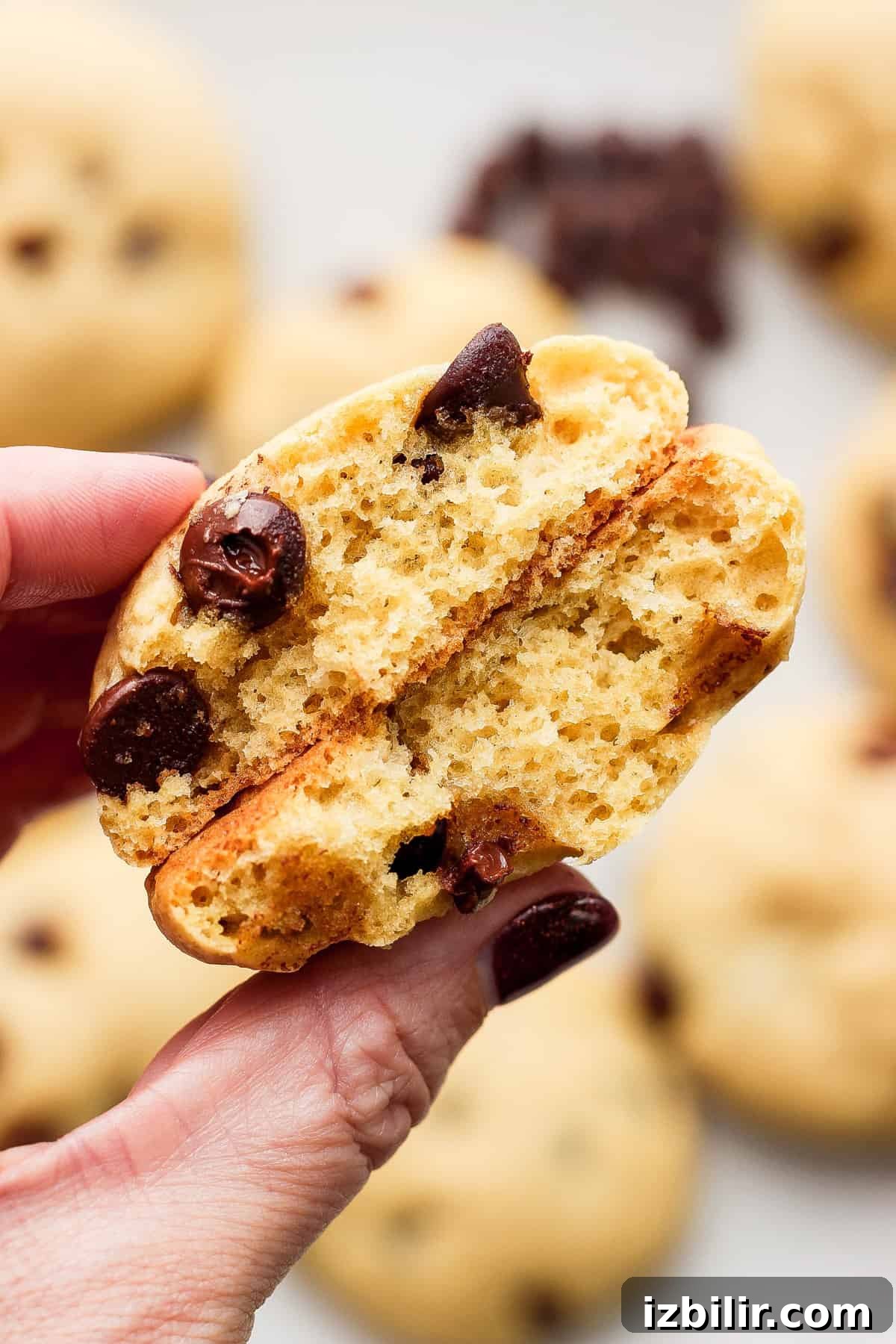 Chewy Chocolate Chip Cookies with Cottage Cheese 6 A person holding up a cookie with a bite taken out of it.