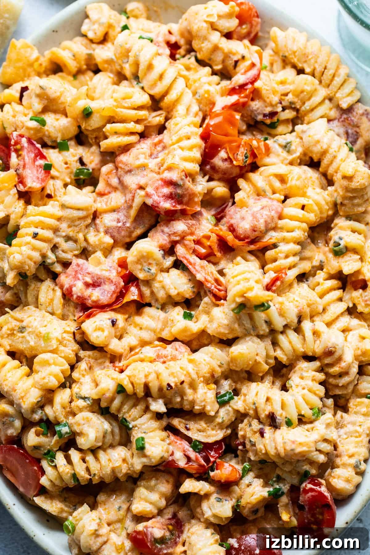 Creamy pasta with tomato pieces and herbs
