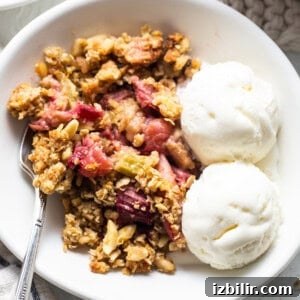 Honey Rhubarb Crisp Recipe with Brown Butter Oat Topping 7 A bowl of rhubarb crisp with ice cream and granola