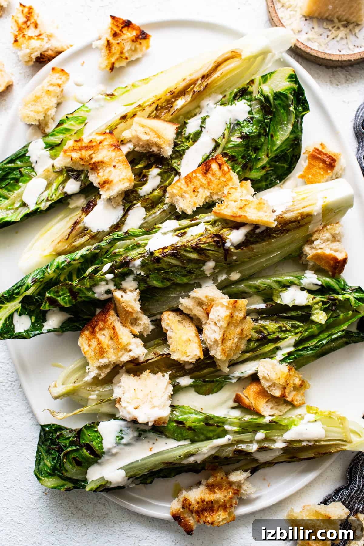 Grilled romaine lettuce topped with croutons and drizzled with creamy dressing on a white plate.