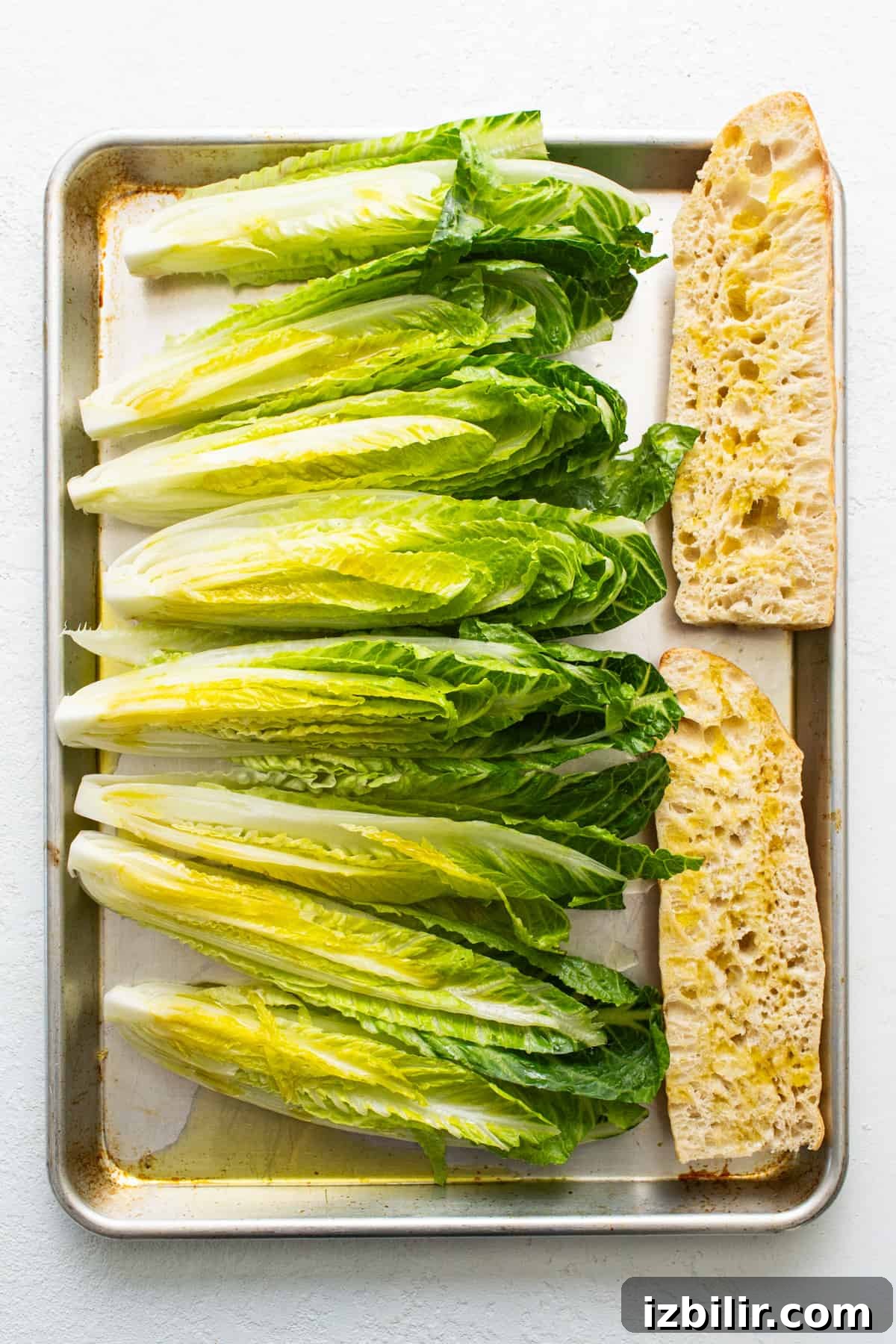 Fresh heads of romaine lettuce and slices of bread arranged on a baking tray.