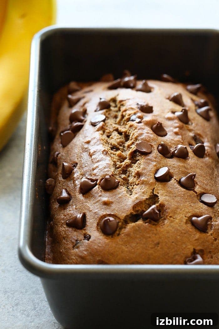 Moist Banana Bread with Coconut Oil 2 Whole Wheat Coconut Oil Roasted Banana Bread