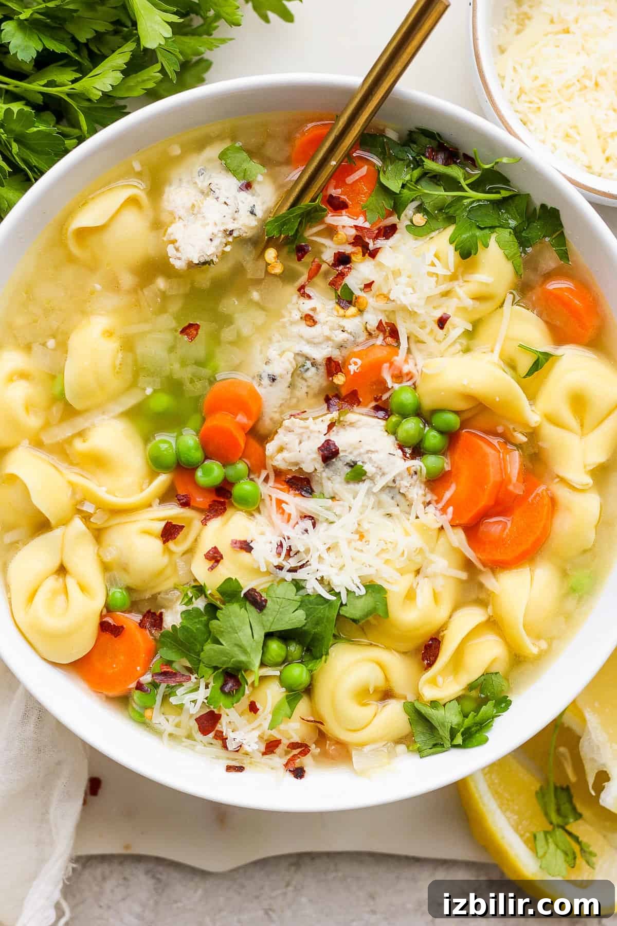 One-Pot Creamy Lemon Tortellini Soup with English Peas 7 A bowl of chicken noodle soup with vegetables, topped with parmesan cheese and fresh herbs.