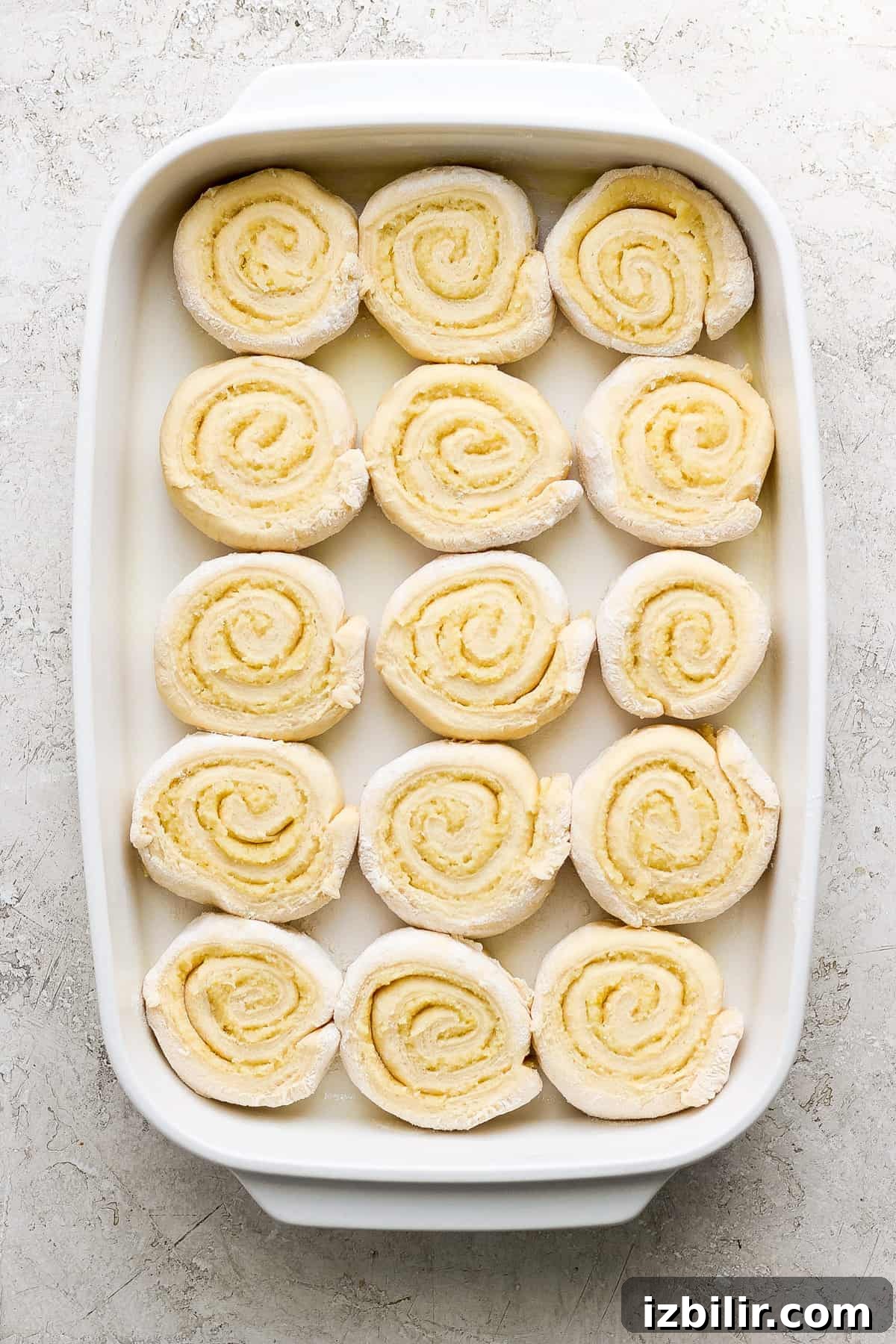 Rolled cinnamon rolls before baking