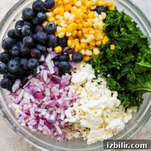 Savory Mixed Protein Bowl with Grains and Veggies 10 A bowl with a mix of ingredients including blueberries, corn, chopped red onions, kale, and feta cheese for a salad.