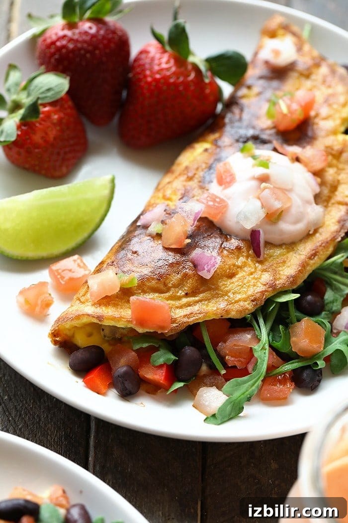 Get all your veggies in for the day at breakfast with this Veggie-Packed Black Bean Omelette! With this meal, you'll get tons of plant-based and egg protein, too!