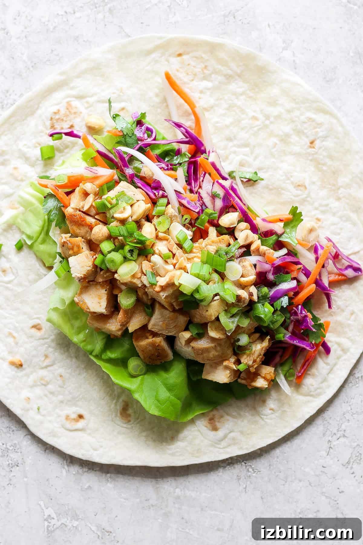 Peanut Chicken Wrap Recipe with Crunchy Slaw 4 Peanut chicken wrap close-up