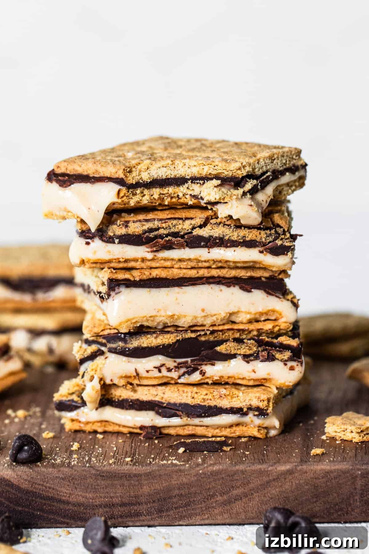A stack of s'mores with melted chocolate and marshmallows, surrounded by cookie crumbs and chocolate chips.