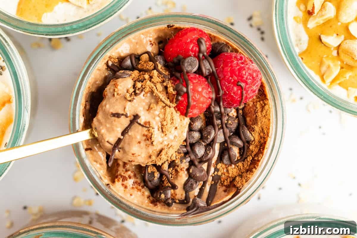 A glass bowl of chocolate oatmeal topped with raspberries, chocolate chips, and a dusting of cocoa powder. A spoon rests inside the bowl.