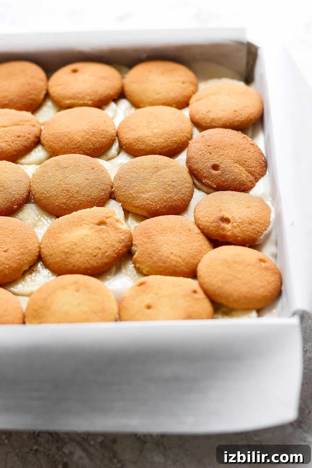 A baking dish filled with layers of vanilla wafer cookies, partially submerged in a creamy mixture, transforms into a delectable peanut butter banana ice box cake.