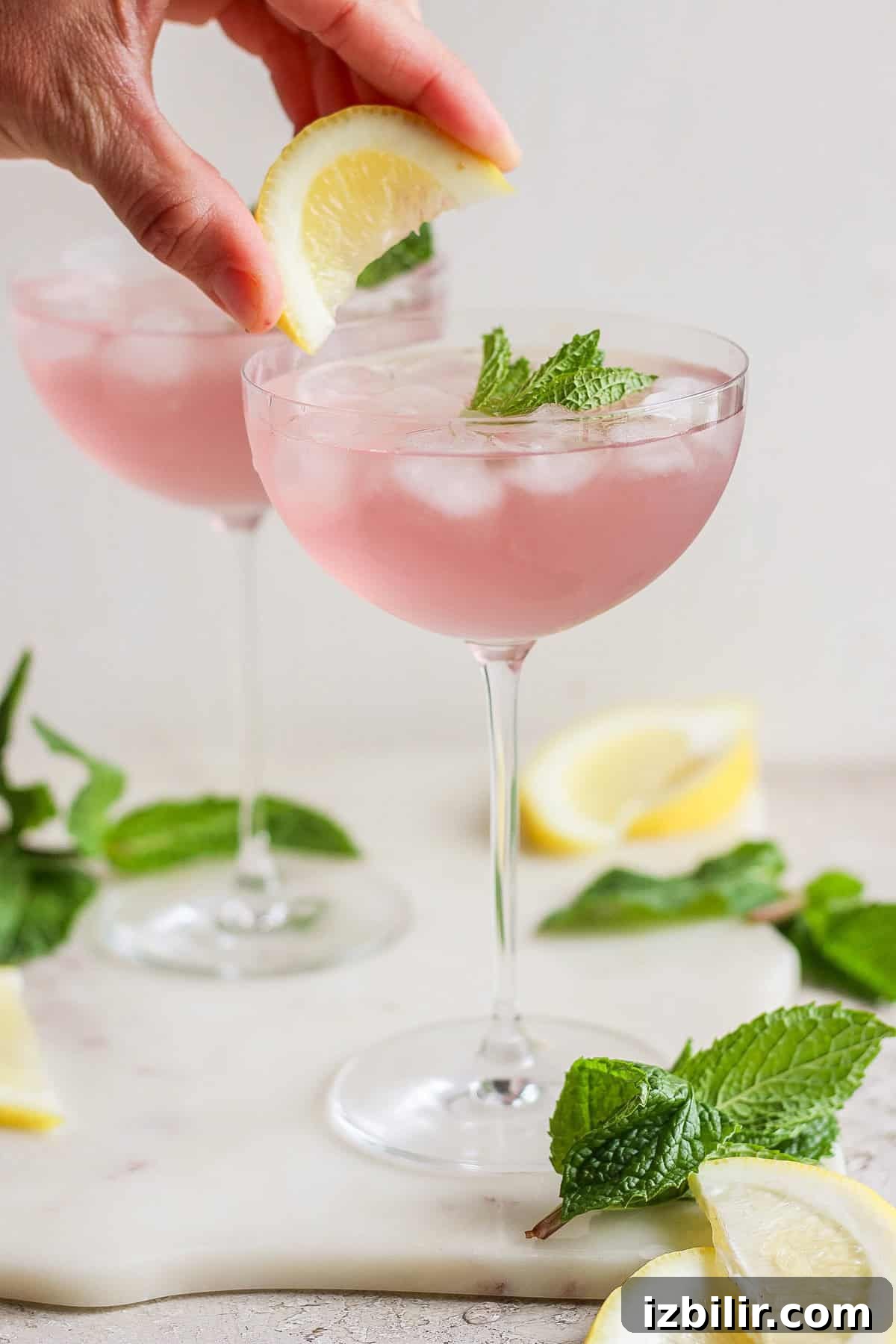 Sparkling Unicorn Gin Cocktail Recipe 5 Pink cocktail with lemon wedge and mint garnish
