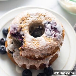 Apple Cider Donuts Recipe with Cinnamon Sugar 3 A stack of blueberry glazed donuts on a plate.