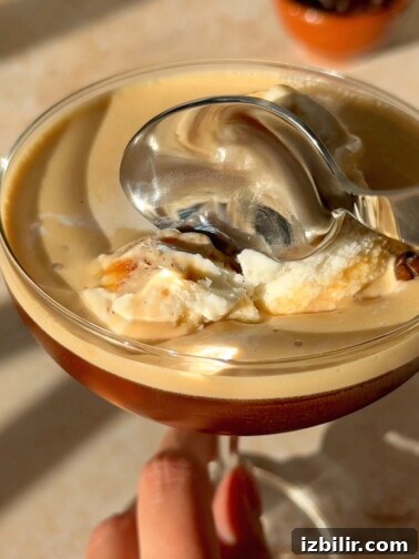 Espresso Martini Float