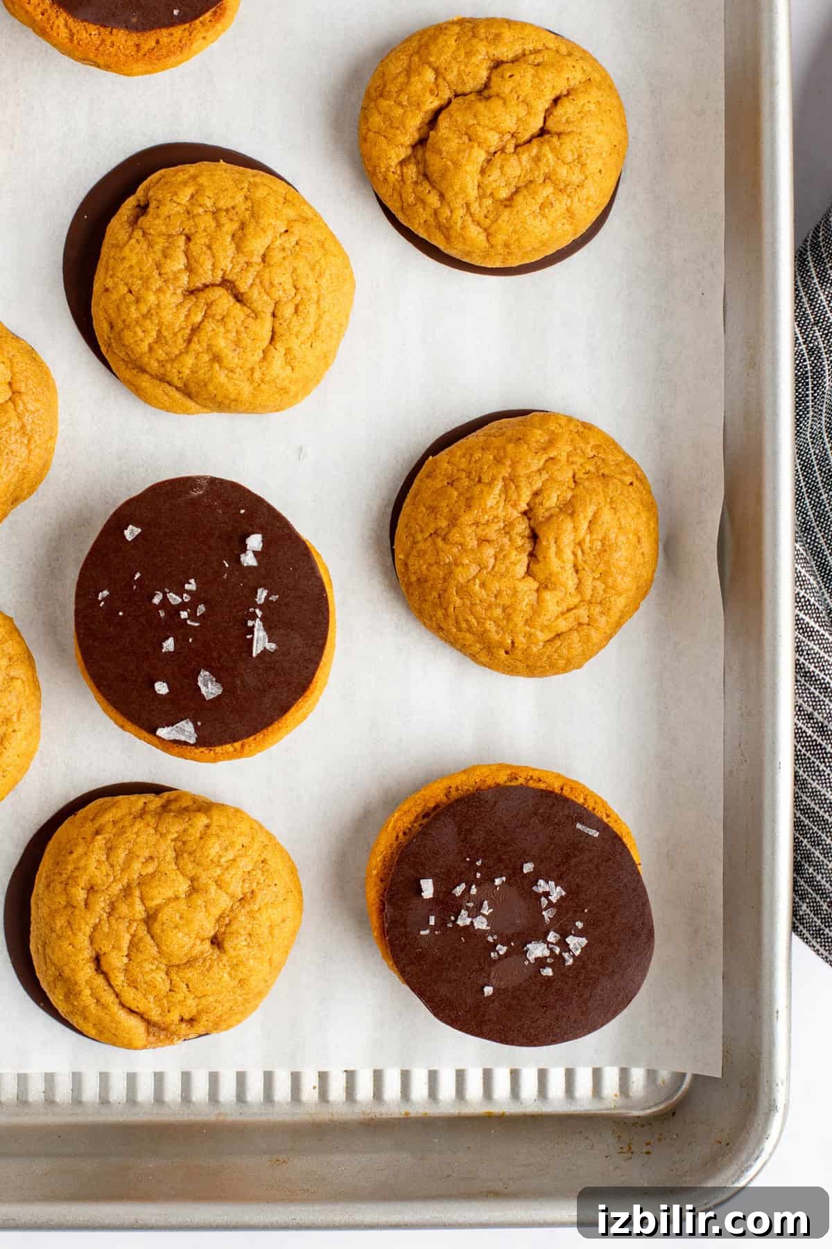 A baking tray with parchment paper holds nine round orange cookies, some plain and some half-dipped in chocolate, with a few sprinkled with sea salt.