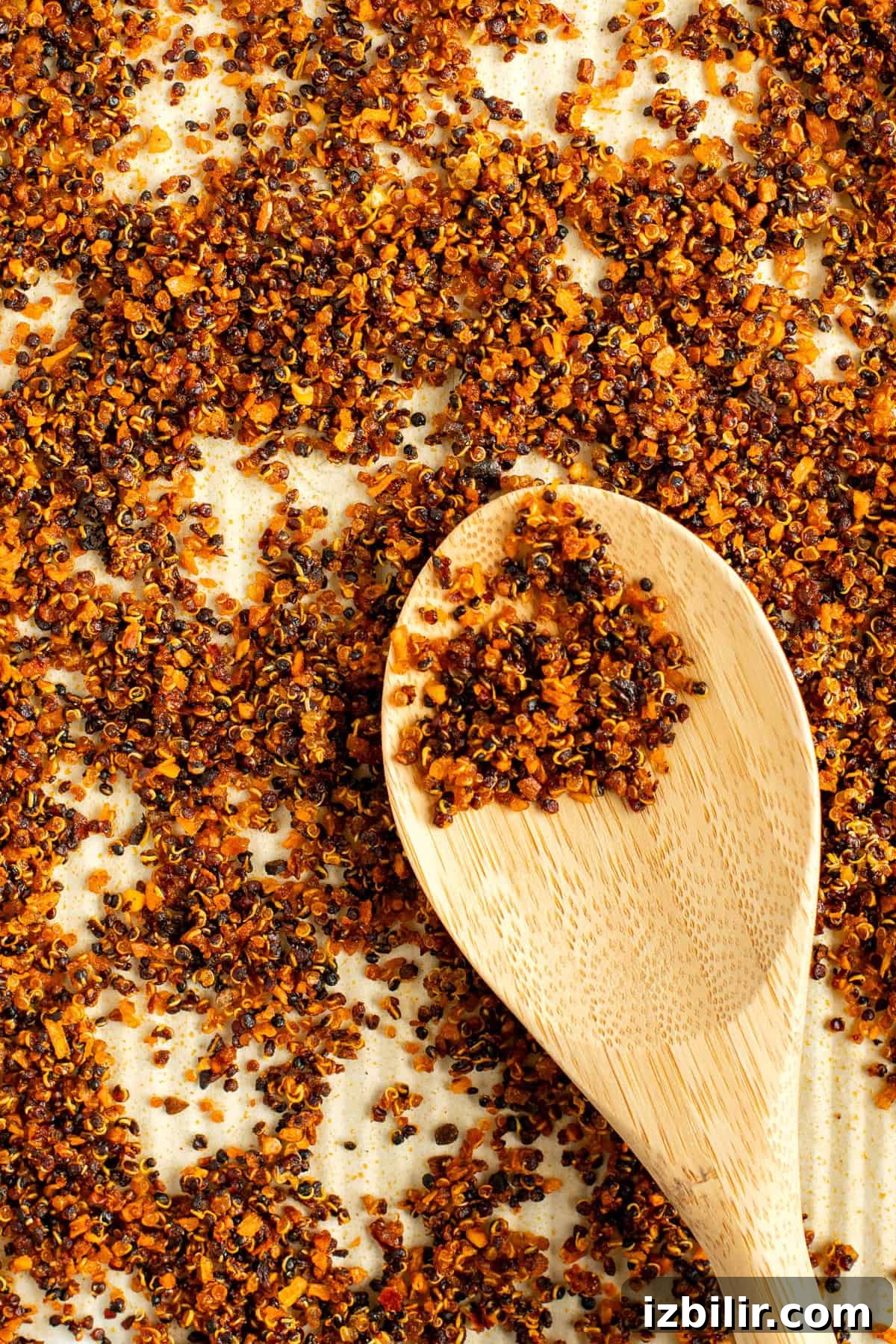 A wooden spoon rests on a surface covered with toasted quinoa grains.