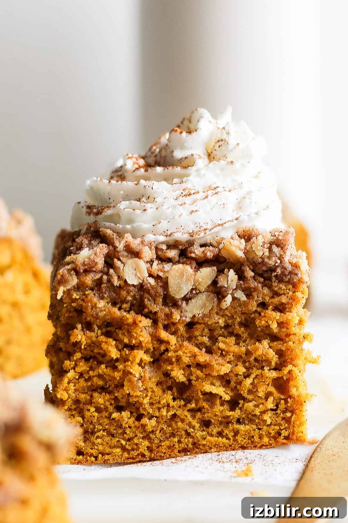Pumpkin Coffee Cake with Cinnamon Streusel 2 A slice of pumpkin coffee cake topped with whipped cream and a sprinkle of cinnamon on a white surface.