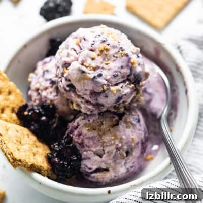 blackberry ice cream in bowl.