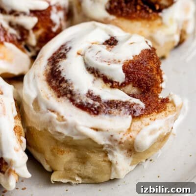 Close-up of a cinnamon roll with creamy white icing and swirls of cinnamon sugar on a light-colored plate.
