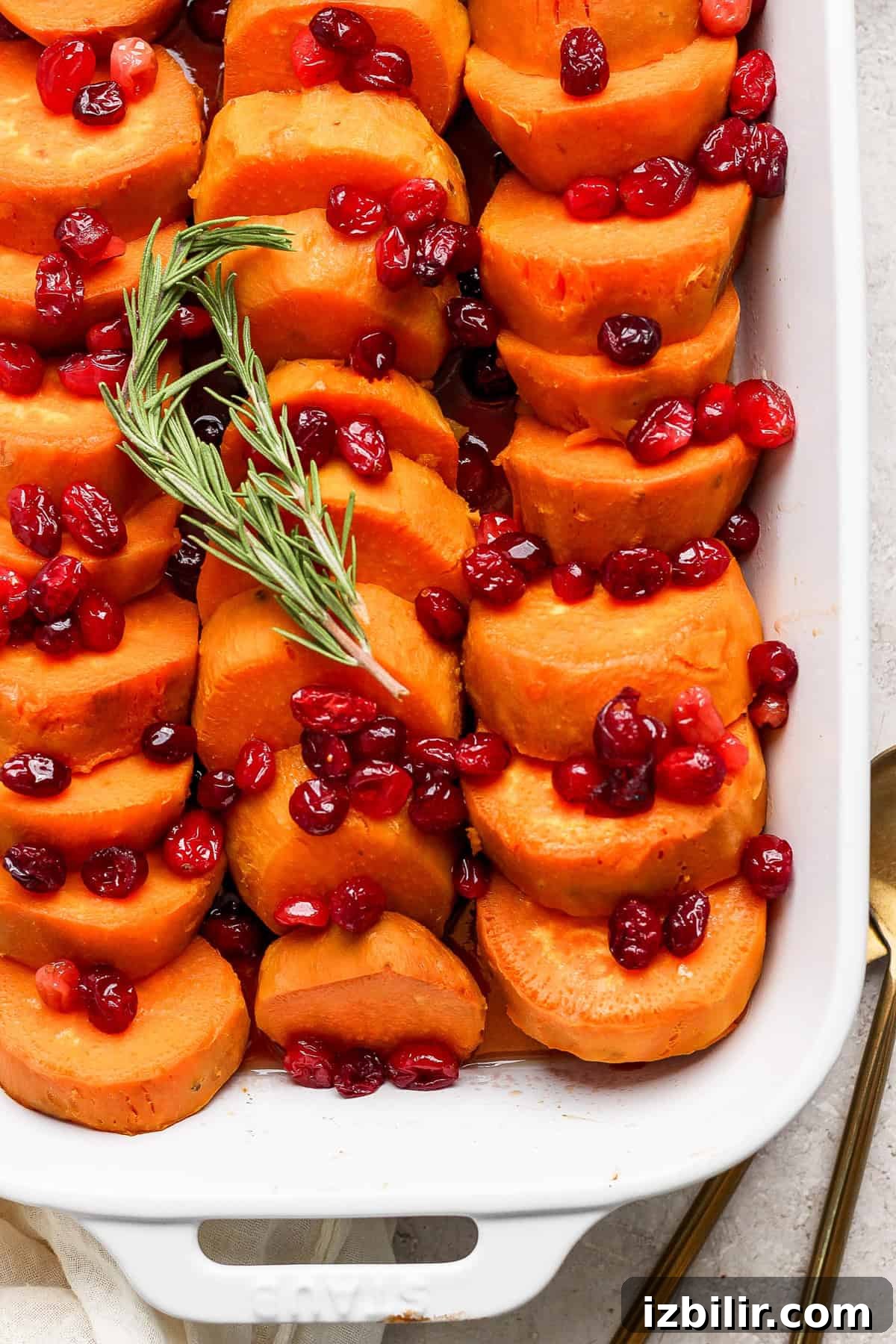 Grandpa Dick's Maple Cranberry Sweet Potatoes Recipe 2 A white casserole dish filled with neatly arranged sliced sweet potatoes, topped with cranberries and garnished with a sprig of rosemary.