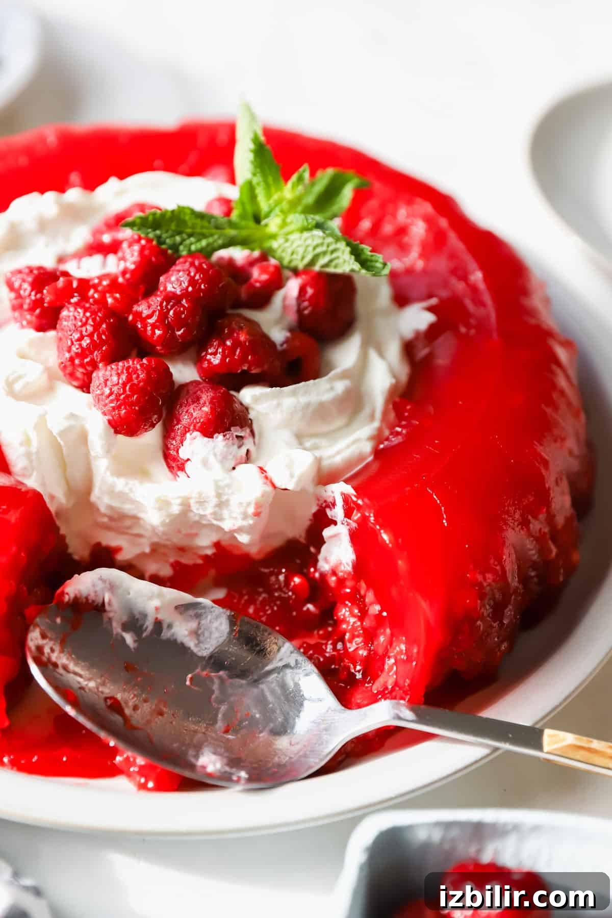 Nanie Arlene's Vintage Jello Mold Recipe 2 A red gelatin dessert topped with whipped cream, fresh raspberries, and a mint sprig. A spoon rests on the plate beside it.