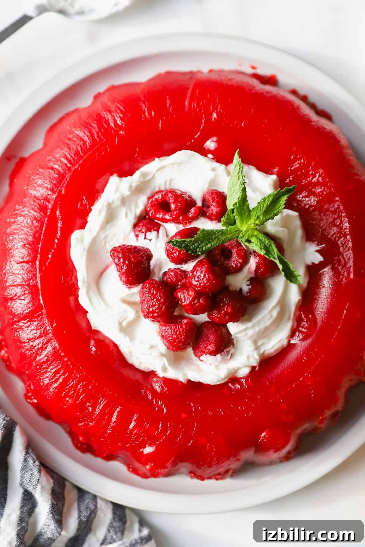 Nanie Arlene's Vintage Jello Mold Recipe 5 A red gelatin mold topped with whipped cream, raspberries, and a sprig of mint on a white plate.