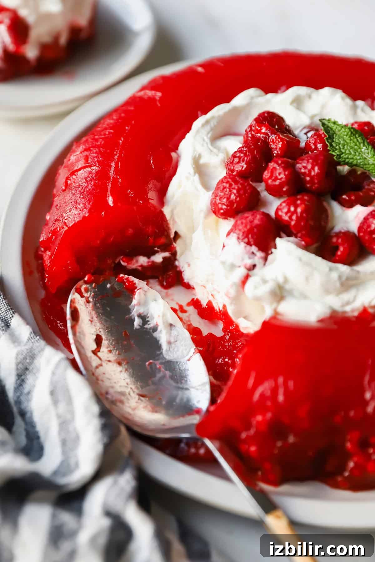Nanie Arlene's Vintage Jello Mold Recipe 6 A red gelatin dessert topped with whipped cream and raspberries on a plate. A portion is missing, and a spoon is resting nearby.