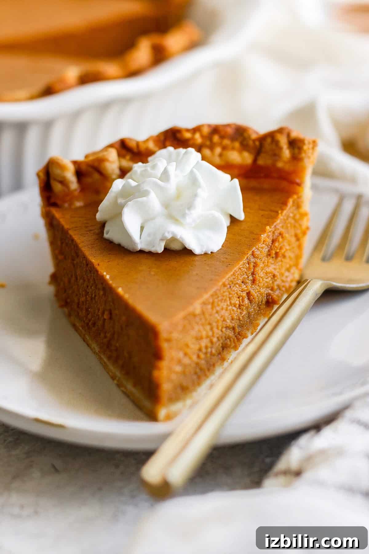 A slice of pumpkin pie topped with a dollop of whipped cream sits on a white plate with a fork placed beside it.