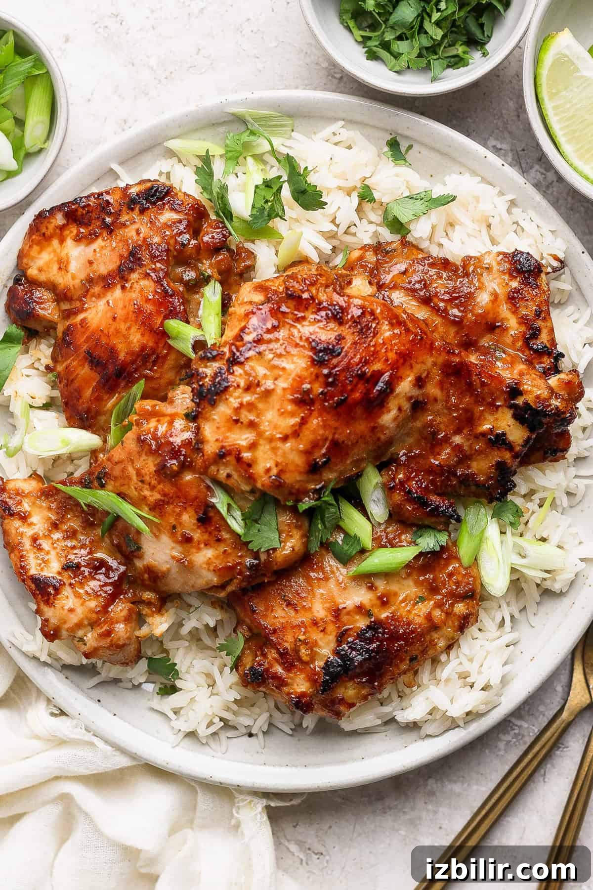 A plate of grilled chicken served on a bed of rice, garnished with chopped green onions and cilantro.