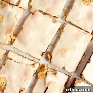 Homemade Protein Pop Tarts Recipe 8 Top view of frosted protein pop tarts laid out in a grid pattern on a white surface.