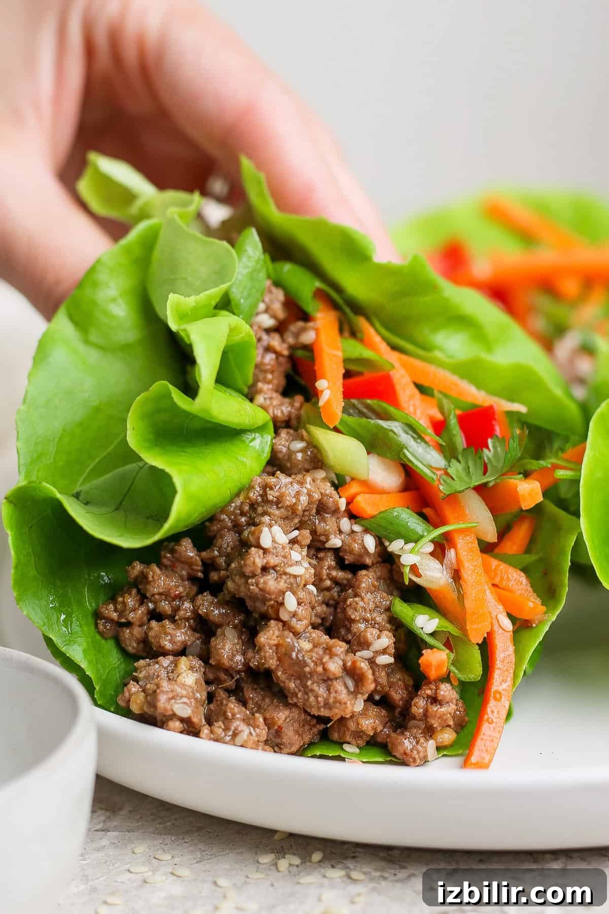 Korean Beef Lettuce Wraps with Gochujang Glaze 4 A hand holding a lettuce wrap filled with ground meat, shredded carrots, and herbs on a white plate.