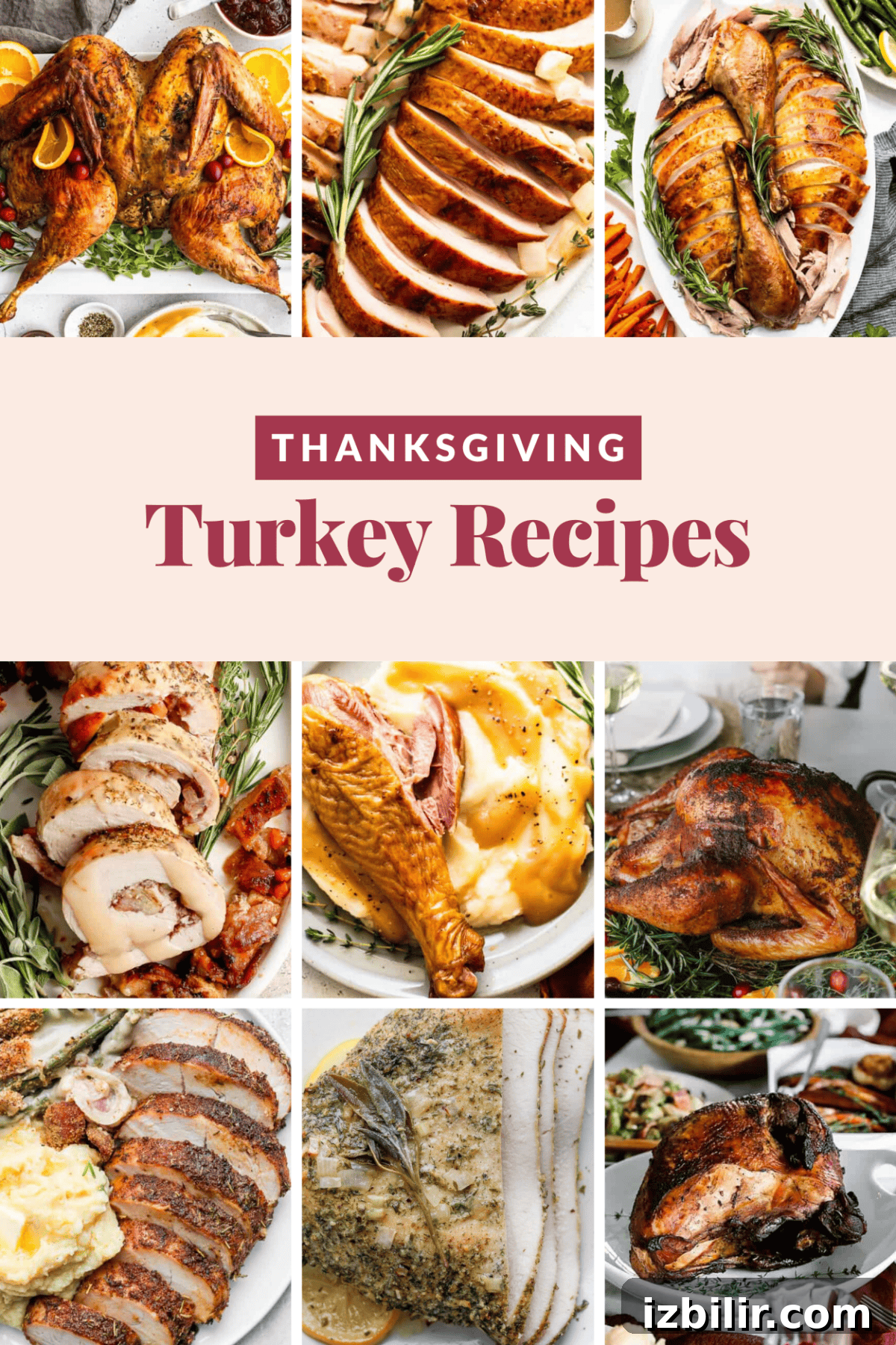 Collage of various Thanksgiving turkey dishes presented with 'Thanksgiving Turkey Recipes' text in the center.