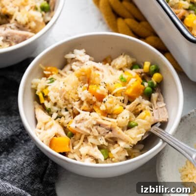 Turkey casserole in a bowl.