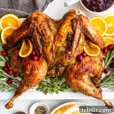A spatchcock turkey on a platter with cranberry sauce.