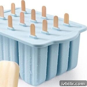 Blue popsicle mold with twelve wooden sticks inserted, shown alongside a single cream-colored protein fudgesicle in the foreground.