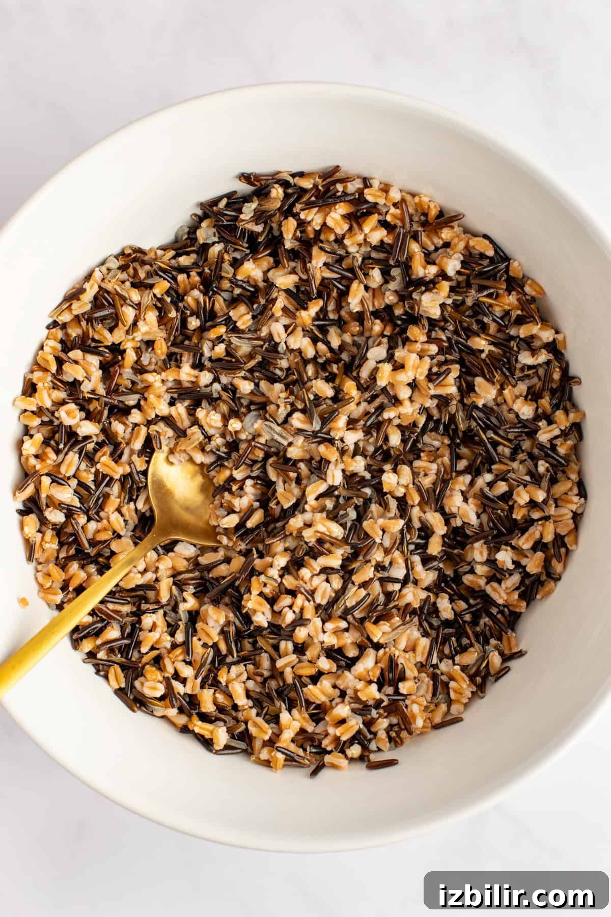 A white bowl filled with a mix of wild and brown rice. A gold spoon rests in the rice.