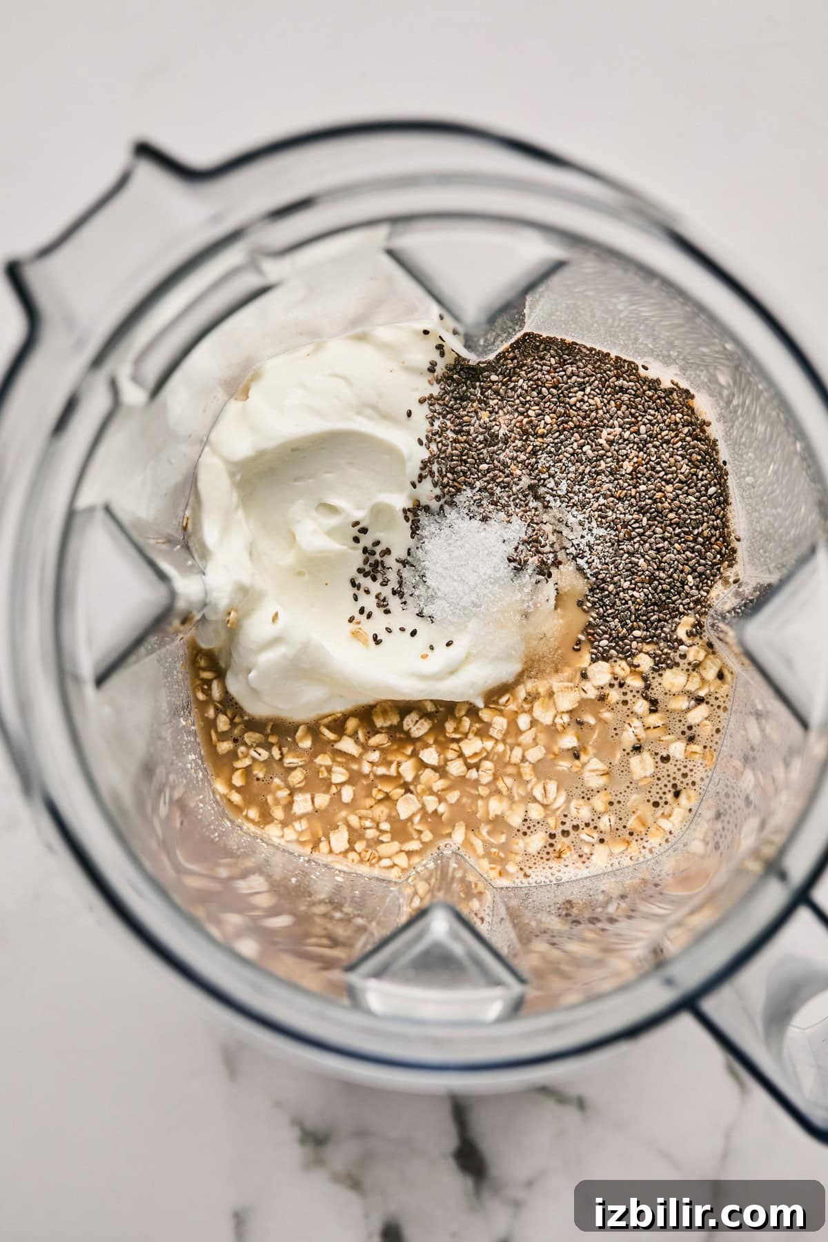 Ingredients in a blender: yogurt, chia seeds, salt, oats, and a liquid.